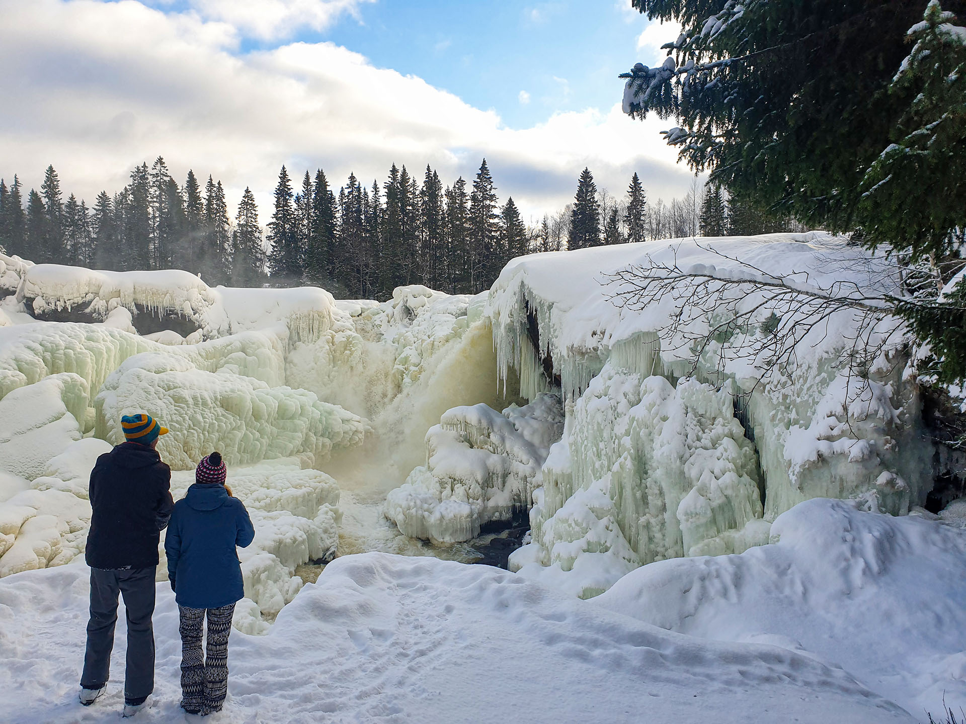 Kallsedets Camping & Stugor — photo 4